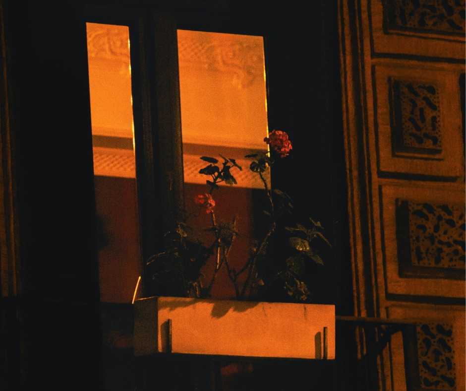 closed window in apartment building with fire burning behind it